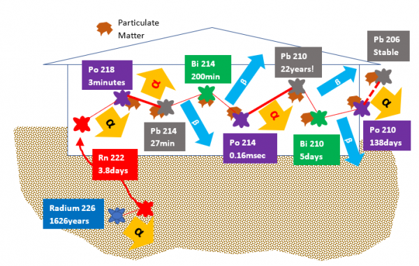 graphic of radon decay, with half-life listed.  Path is listed as: Radium 1626 years, Radon 3.8 days, Po 3 minutes, pb214 27 minutes, Bi 200 minutes, Po214 0.16msec, pb210 22 years, bi 5 days, Po210 138 days, pb206 stable.